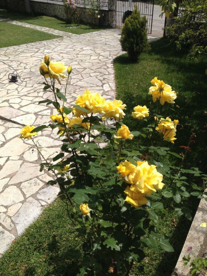 Dimitra Studios Nidri Bagian luar foto